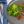 Load image into Gallery viewer, Lean Beef & Onion - Keto - Prep'd Tulsa