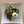 Load image into Gallery viewer, Steak Chimichurri Meal
